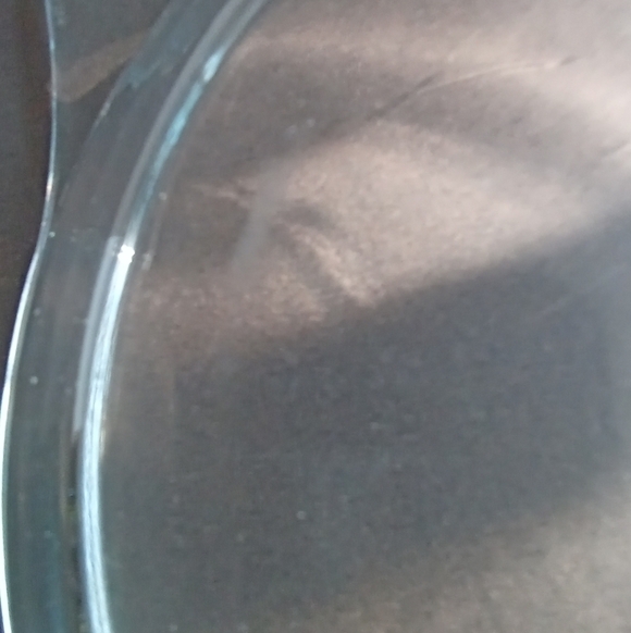 Pyrex England casserole 8 inches Emily spring garden pattern - Picture 8 of 9